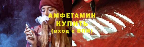 крисы Елабуга