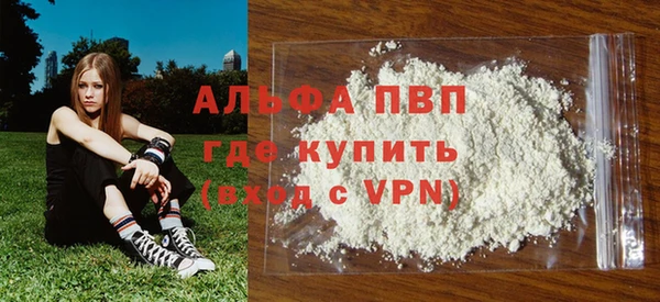 крисы Елабуга