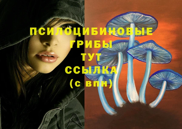 крисы Елабуга