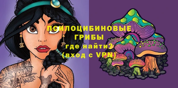 марки nbome Ельня