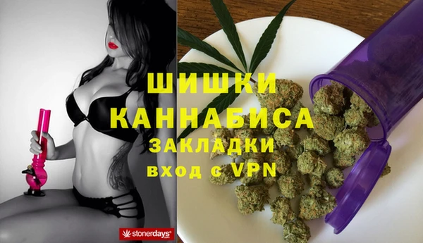 крисы Елабуга