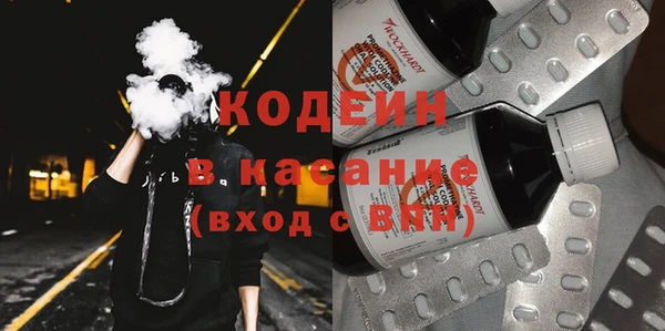 крисы Елабуга