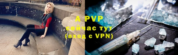 крисы Елабуга