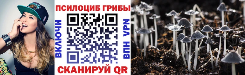 Купить закладки  Юрьев-Польский  Галлюциногенные грибы GOLDEN TEACHER 